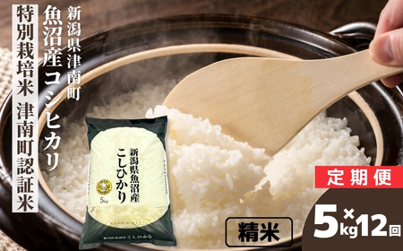 y12ցzyߘa7NYzYRVqJ ʍ͔| Ó쒬Fؕ 5kgi5kg×1) V Ó쒬 ㉮X