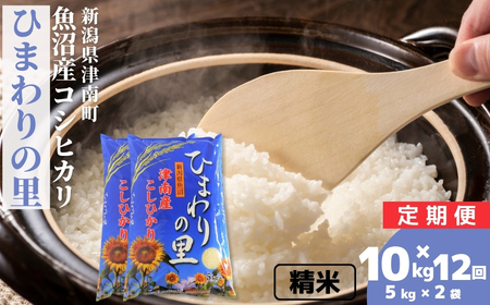 y12ցzyߘa7NYzYRVqJ uЂ܂̗v10kg (5kg×2) V Ó쒬 ㉮X