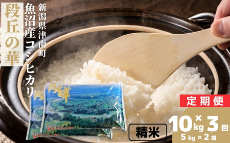 �y3��������ցz�y�ߘa7�N�Y�z�����Y�R�V�q�J�� �u�i�u�̉؁v10kg (5kg×2��) �V���� �Ó쒬 ��㉮���X