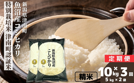 y3ցzyߘa7NYzYRVqJ ʍ͔| Ó쒬Fؕ 10kgi5kg×2) V Ó쒬 ㉮X