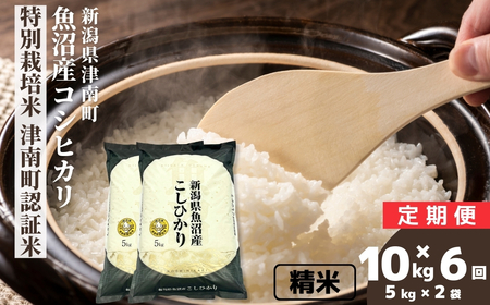 �y6��������ցz�y�ߘa7�N�Y�z�����Y�R�V�q�J�� ���ʍ͔|�� �Ó쒬�F�ؕ� 10kg�i5kg×2��) �V���� �Ó쒬 ��㉮���X