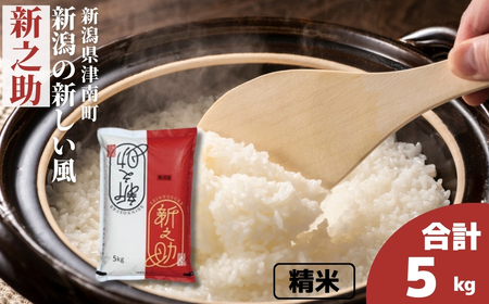 yߘa7NYz 5kg ÓY V̐V VV | ̂    R  ͂   uh  lC Mtg v[g V Ó쒬