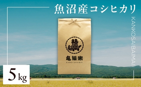 令和7年産 魚沼産コシヒカリ「亀福 慣行栽培米」5kg 株式会社亀福 | 津南町 魚沼産コシヒカリ