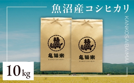 �ߘa7�N�Y �����Y�R�V�q�J���u�T�� ���s�͔|�āv10kg(5kg×2��) ������ЋT�� |  �Ó쒬 �����Y�R�V�q�J��