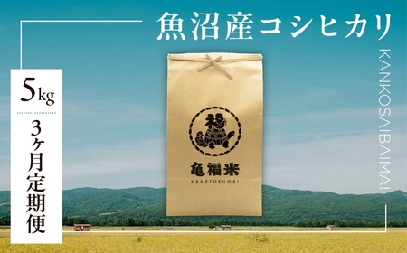 3ヶ月定期便 魚沼産コシヒカリ 亀福 慣行栽培 5kg | 津南町 魚沼 令和7年