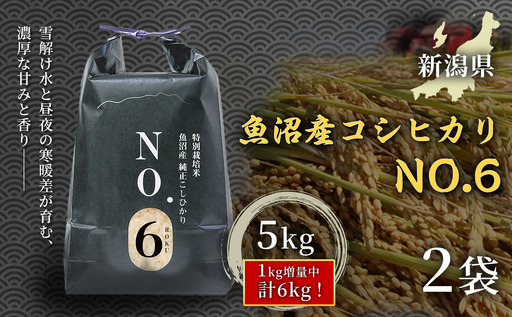 魚沼産コシヒカリNo.6 10kg(5kg×2袋)|津南町 魚沼 令和7年