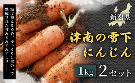 [令和8年産先行予約]津南の雪下にんじん 1kg 2セット | にんじん