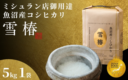 【寄付額見直し】魚沼産コシヒカリ 雪椿 5kg (5キロ×1袋) 特別栽培  | 魚沼 津南町 令和7年