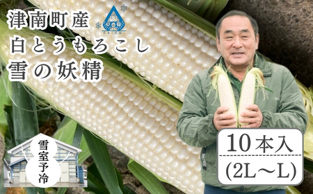 白とうもろこし 雪の妖精 2L〜L 10本入 雪室予冷 | 津南町 スイートコーン