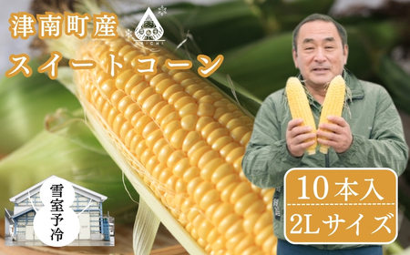 スイートコーン 2Lサイズ 10本入 雪室予冷 | 津南町 とうもろこし