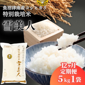 【12ヶ月定期便】魚沼産コシヒカリ 特別栽培 雪美人  5kg  | 津南町 魚沼 令和8年