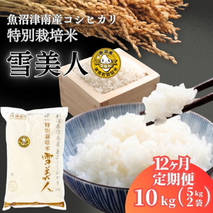 【12ヶ月定期便】魚沼産コシヒカリ 特別栽培 雪美人 10kg（5kg×2袋）| 津南町 魚沼 令和8年