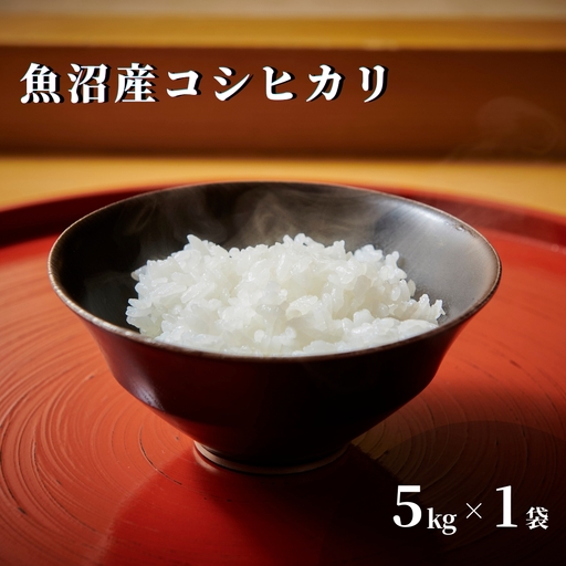 令和7年産 魚沼産コシヒカリ 5kg (5キロ×1袋) 特別栽培 | 魚沼 津南町