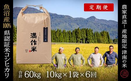 y2025NYVāzy6ցz10kg(10kg×1) ͋YRVqJ |Ó쒬 RVqJ 