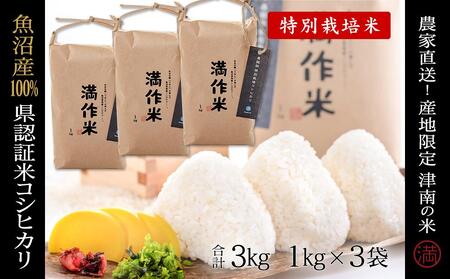 [2025年産新米]県認証米魚沼産コシヒカリ 3kg(1kg×3袋) 産地限定!農家直送 |津南町 魚沼産 コシヒカリ