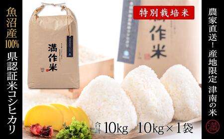 y2025NYVāzFؕċYRVqJ 10kg(10kg×1) YnI_ƒ |Ó쒬 Y RVqJ