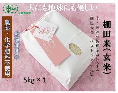 [2025年産新米]魚沼産コシヒカリ 苗場プリンセス・プレミアム 玄米 有機jaS認証米 玄米(5kg)×1