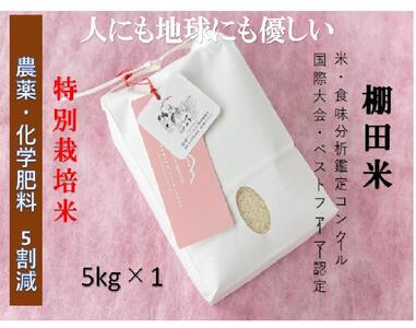 【2025年産新米】魚沼産コシヒカリ 苗場プリンセス 特別栽培米 農薬化学肥料5割減 精米（5kg）×1