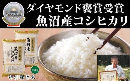 yߘa7NYVāzōYЂ 10kgi5kg×2܁jV |Ó쒬 Y RVqJ