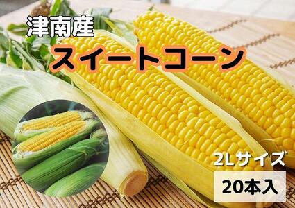 新潟県津南の返礼品 検索結果 | ふるさと納税サイト「ふるなび」