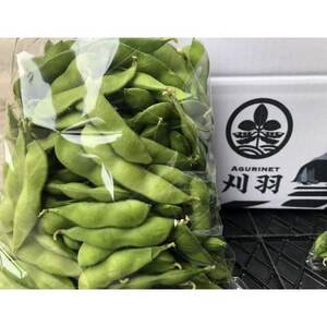 新潟県刈羽村産　早生茶豆1kg(500g×2パック)【配送不可地域：離島・北海道・沖縄県】【1546655】