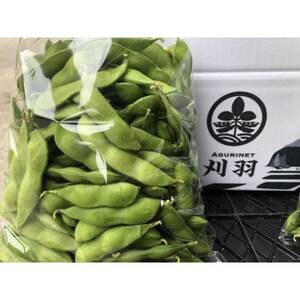 新潟県刈羽村産　中生茶豆1kg(500g×2パック)【配送不可地域：離島・北海道・沖縄県】【1546658】