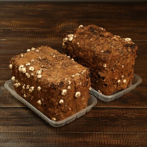 ĂĊy!炩퐶ۏz_ 2Zbgy1442536z