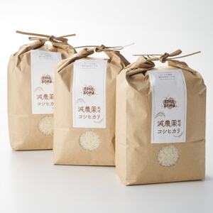 [s\] R7NY ZȊÂ!DYRVqJ6kg(2kg×3)[_Ɩh]_DY RVqJ  s\_y1584913z