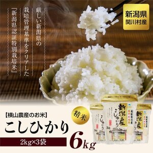 yցz֐쑺YЂ6kg(2kg×3)ӂ D [R_Y]S12y4073979z