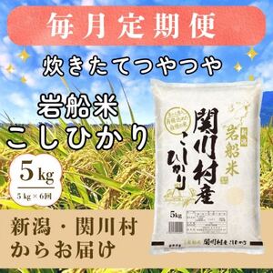 yցzĂ V֐쑺Y DĂЂ 5kg [RēX]S6y4075491z