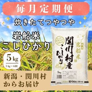 yցzĂ V֐쑺Y DĂЂ@ 5kg [RēX]S6y4076217z