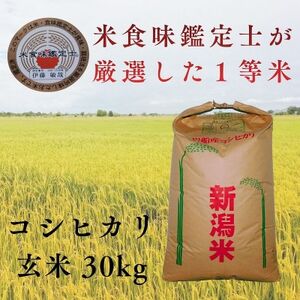 R7年産 新潟県岩船産 コシヒカリ玄米30kg 米食味鑑定士が厳選吟味した1等米 [青南総合農園]