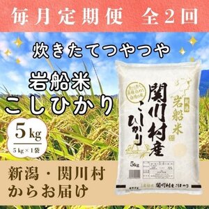 �y��������ցz�������Ă�� �V���֐쑺�Y ��D�Ă����Ђ��萸�� 5kg [���R�ēX]�S2��y4079622�z