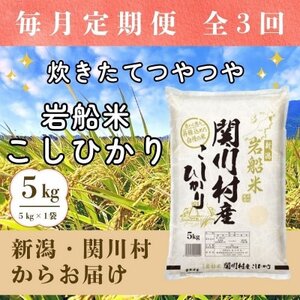 �y��������ցz�������Ă�� �V���֐쑺�Y ��D�Ă����Ђ��萸�� 5kg [���R�ēX]�S3��y4079623�z