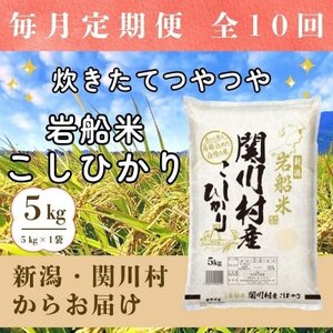 �y��������ցz�������Ă�� �V���֐쑺�Y ��D�Ă����Ђ��萸�� 5kg�S10��y4079665�z