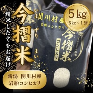 R7年産 関川村産 岩船コシヒカリ 今摺米 5kg(精米5kg×1袋)[JA北新潟]