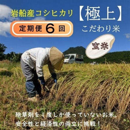 【毎月定期便】[極上]安心こだわり米 岩船産コシヒカリ 玄米6kg(3kg×2袋)[百姓屋]全6回【4084284】