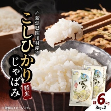 [先行予約]R8年産 関川村産コシヒカリ6kg(3kg×2)丁寧に育てた贅沢米精米 [山口ファーム]