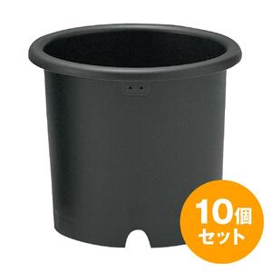 菊鉢10号 10個セット