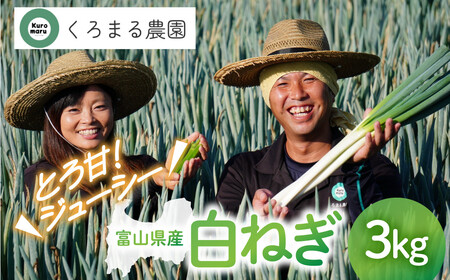 くろまる農園 富山の白ネギ(泥付き)3キロ