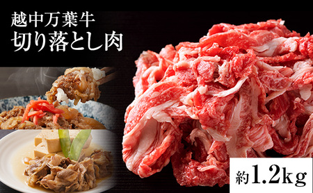 越中万葉牛切り落とし1.2Kg おすすめ 牛肉 すき焼き ボリューム 冷凍 /天狗乃肉林本店/富山県高岡市