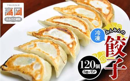 みんみんの餃子120個 （8コ×15パック） 餃子専門店 みんみん みんみん餃子 ギョーザ ぎょうざ ギョウザ 富山 惣菜 おかず 中華 点心 冷凍 冷凍食品 肉加工品 加工品 富山県高岡市 FAD-1459