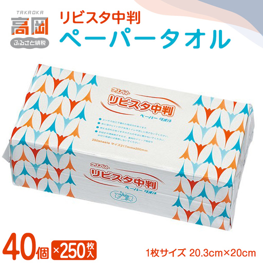 リビスタ中判ペーパータオル250枚×40個 ペーパータオル 防災グッズ ティッシュ キッチンペーパー タオル FAD-1771