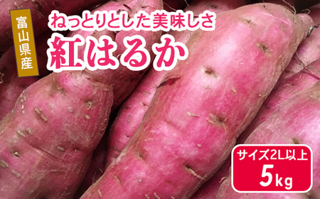 富山県魚津産さつまいも 紅はるか 5kg サイズ2L以上|長引野 黒ボク土 ねっとり 土付 ※北海道・沖縄・離島への配送不可