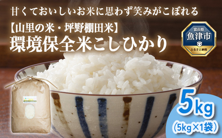 山の湧き水 寒暖差 山里 山里の米･坪野米 R7年産 環境保全米こしひかり 5kg ※北海道・沖縄・離島への配送不可 ※2025年9月下旬〜2025年10月中旬頃に順次発送予定