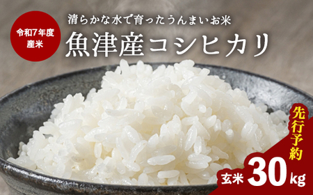 ys\zyR7NxYāznシɂ͂ xRÎs z{̗RVqJ30kg kCEEւ̔zs@2025N9{菇\
