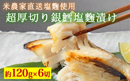 超厚切り銀鱈塩麹漬 6切入 ※北海道・青森・九州・沖縄・離島への配送不可