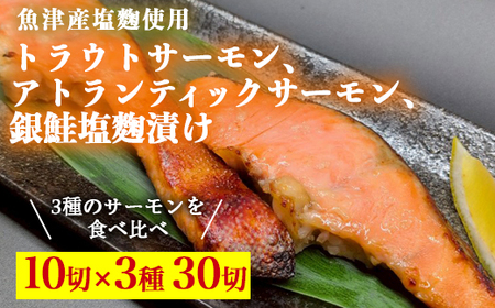 gEgT[ЂAAgeBbNT[ЂAЂe10؂Zbg kCEEւ̔zs