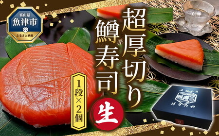 【生】鱒寿司 超厚切り 1段 2個  ます 鱒 寿司 魚卸問屋 はりたや