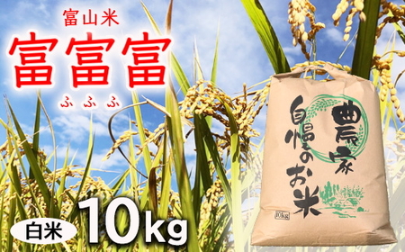 【令和7年度米】【先行予約】農家直送「 富富富 」10kg（白米）｜富山米 ふふふ　※北海道・沖縄・離島への配送不可　※2025年9月下旬頃より順次発送予定
